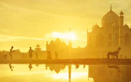 movie Million Dollar Arm HD Desktop Wallpaper | Background Image