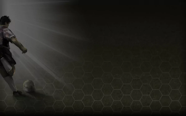 video game Football Manager 2013 HD Desktop Wallpaper | Background Image