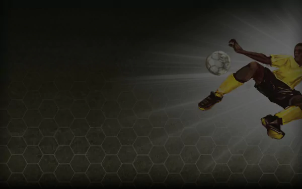 video game Football Manager 2013 HD Desktop Wallpaper | Background Image