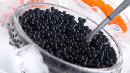 food caviar HD Desktop Wallpaper | Background Image