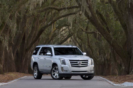 vehicle Cadillac Escalade HD Desktop Wallpaper | Background Image