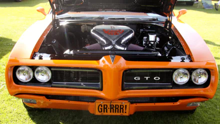 vehicle Pontiac GTO HD Desktop Wallpaper | Background Image