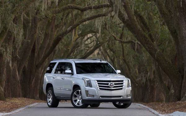 HD PC desktop wallpaper featuring a silver Cadillac Escalade parked on a road lined with large, arching trees covered in Spanish moss.