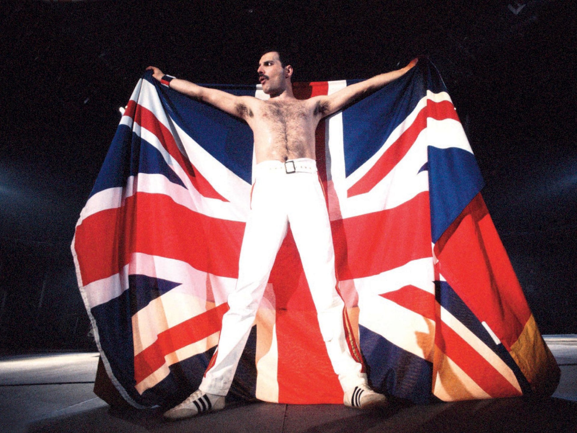 Freddie Mercury Full Hd Wallpaper And Background Image 1920x1440 Id
