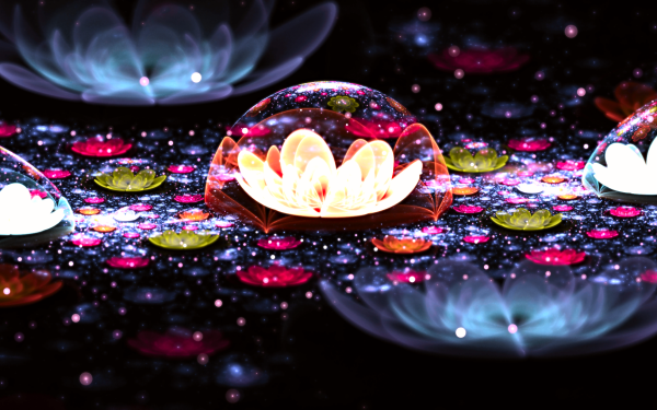 Abstrait Fractale Fleur Lotus Fond d'écran HD | Image