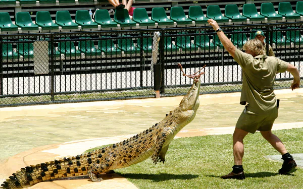  Steve Irwin At Australia Zoo