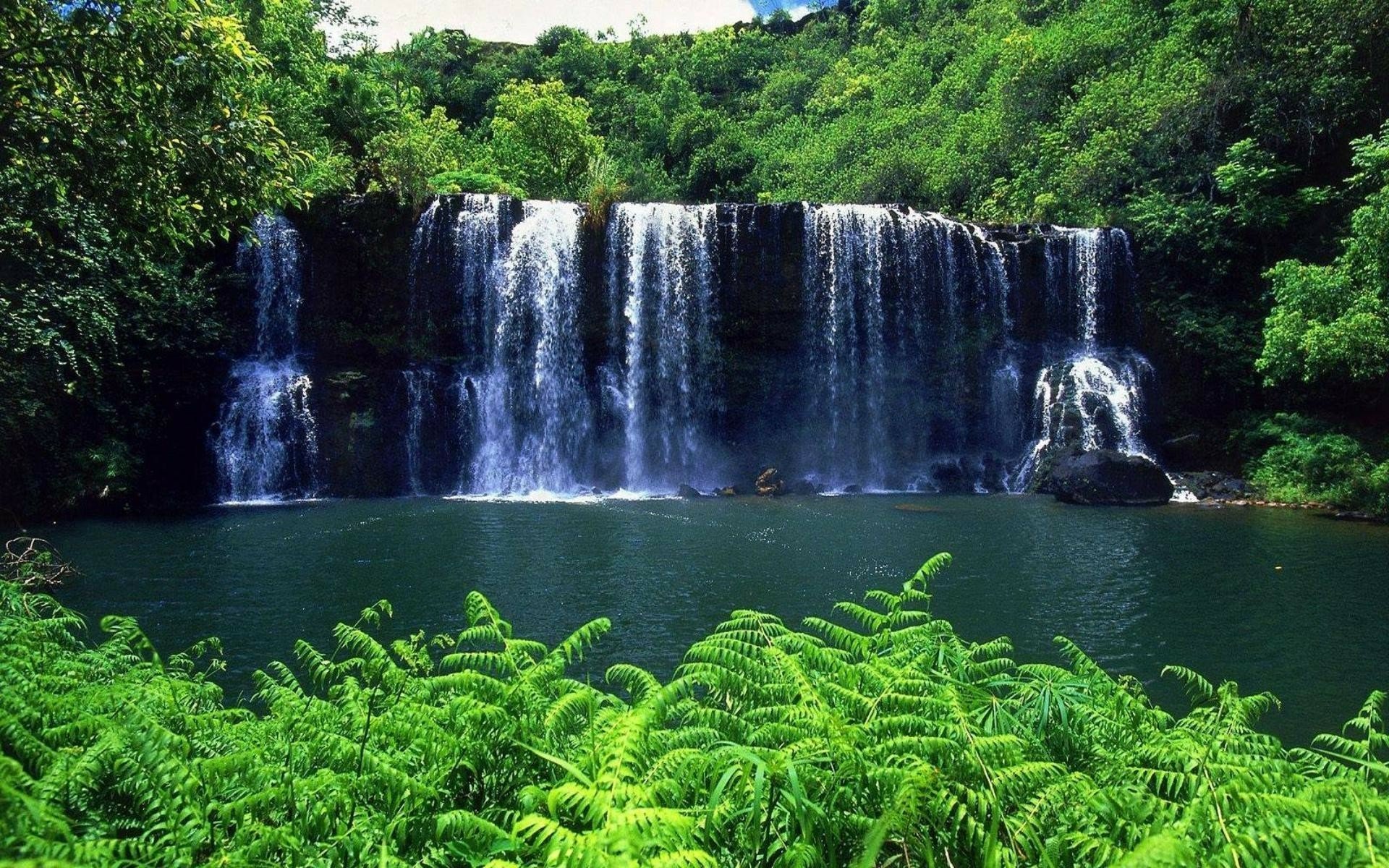 Download Nature Waterfall HD Wallpaper