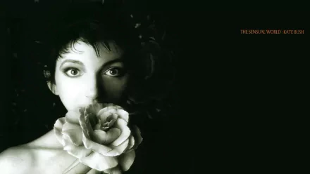 music Kate Bush HD Desktop Wallpaper | Background Image
