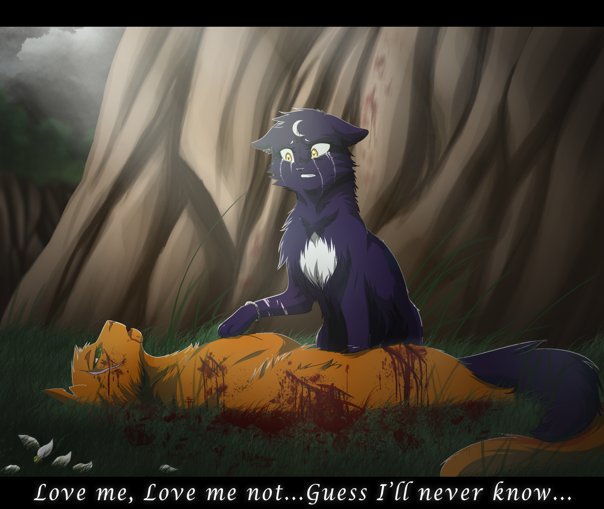 2K Quad HD PC desktop wallpaper: a fantasy animal scene of two cats — a dark purple cat with a crescent mark tending a wounded orange cat in a misty forest.