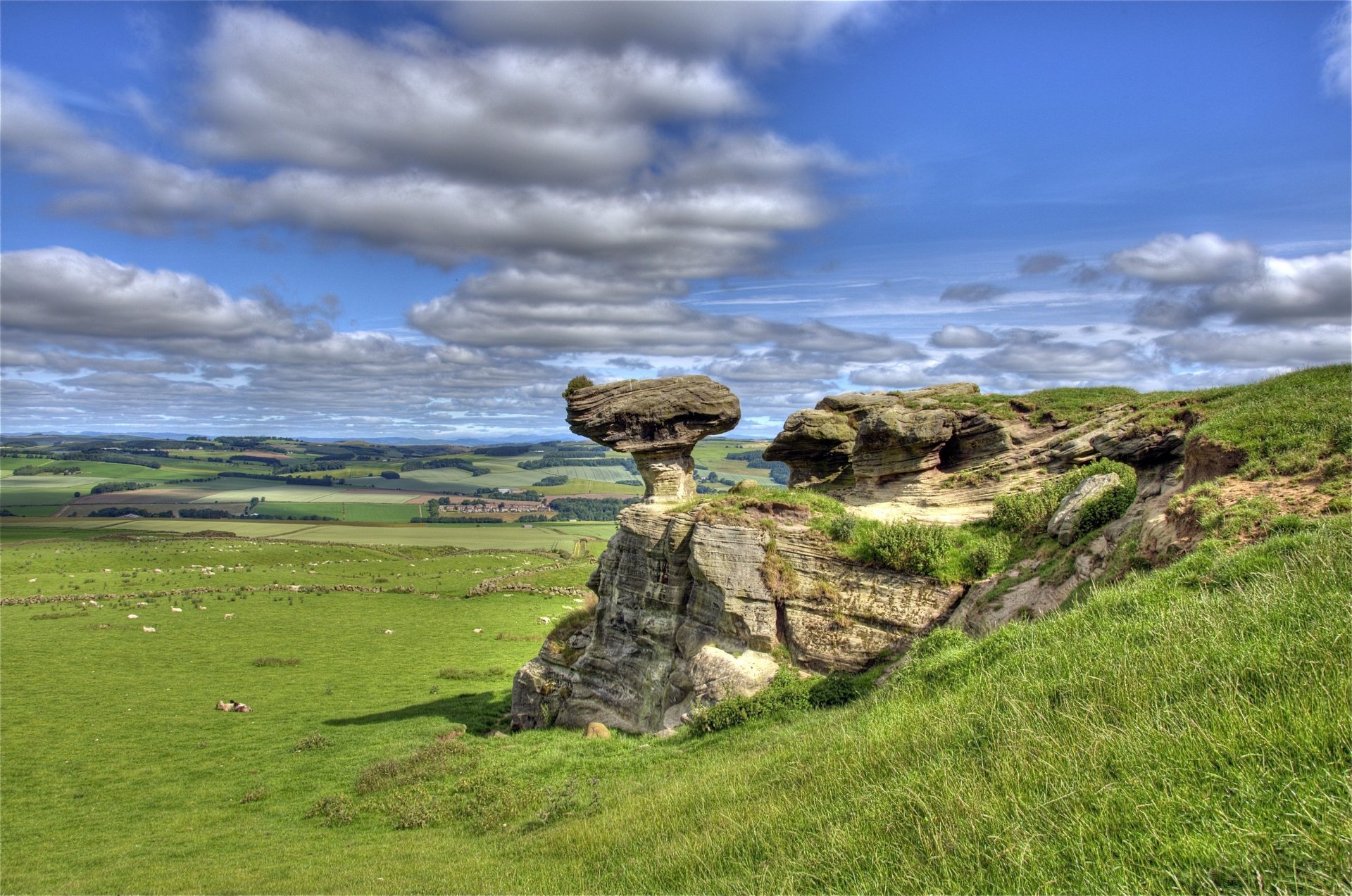 Download Nature Bunnet Stane 4k Ultra HD Wallpaper