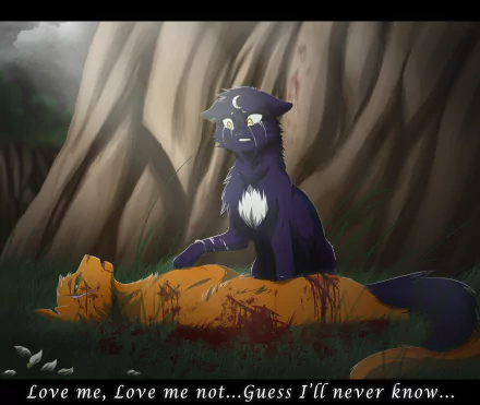 2K Quad HD PC desktop wallpaper: a fantasy animal scene of two cats — a dark purple cat with a crescent mark tending a wounded orange cat in a misty forest.