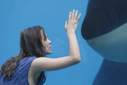 Marion Cotillard movie Rust and Bone HD Desktop Wallpaper | Background Image