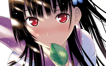 A colorful HD wallpaper featuring Rea Sanka from the anime *Sankarea*, showcasing her striking red eyes and playful expression with a leaf in her mouth.