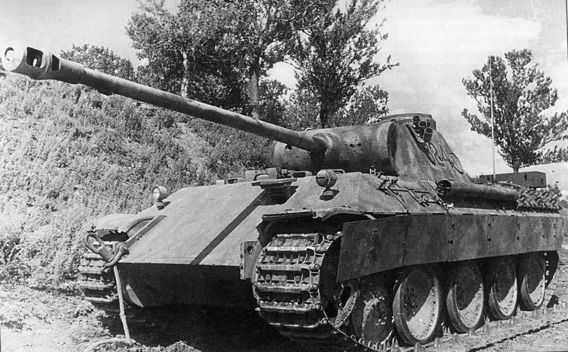 HD wallpaper: Tanks, Black & White, Military, Panther, Vehicle