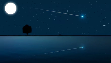 A romantic night scene featuring a couple under a starry sky, with a shooting star and a tree reflected in the calm water, creating an artistic and tranquil atmosphere.