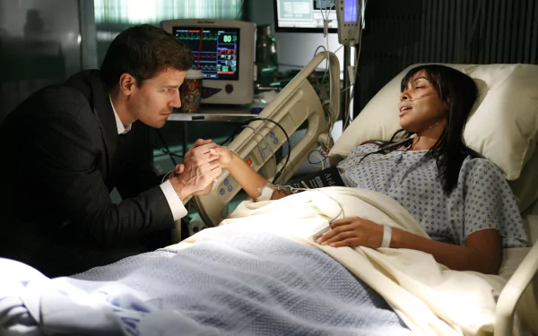 Camille Saroyan Tamara Taylor Seeley Booth David Boreanaz TV Show bones HD Desktop Wallpaper | Background Image