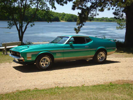 Green Ford Mustang Mach 1 muscle car parked by a lakeside under a tree, captured in HD for a PC desktop wallpaper and background.
