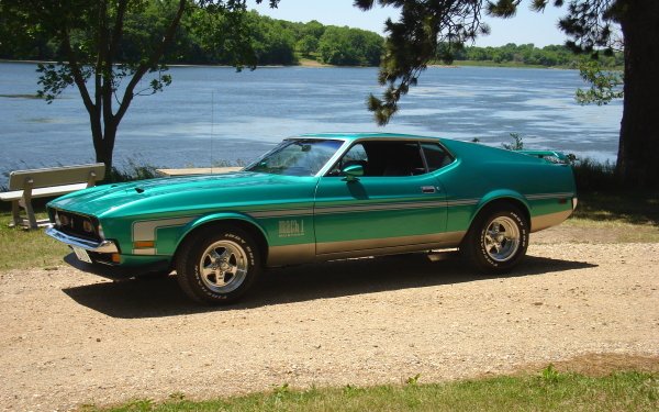 Vehicles Ford Mustang Mach 1 Ford Muscle Car Green Car HD Wallpaper | Background Image