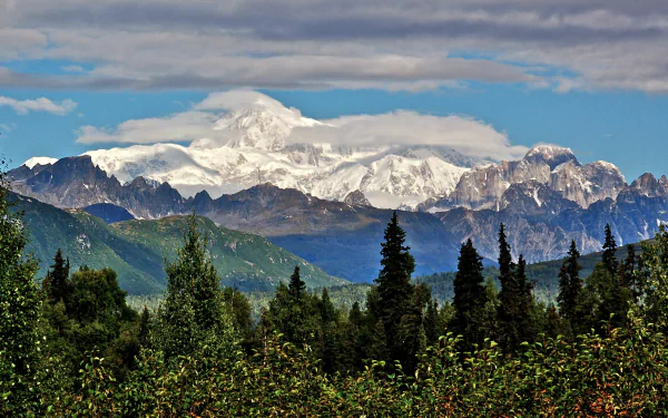 Snow-capped Mount McKinley (Denali) towers over rugged peaks and spruce forest in Denali National Park, Alaska — 2K Quad HD PC desktop wallpaper.
