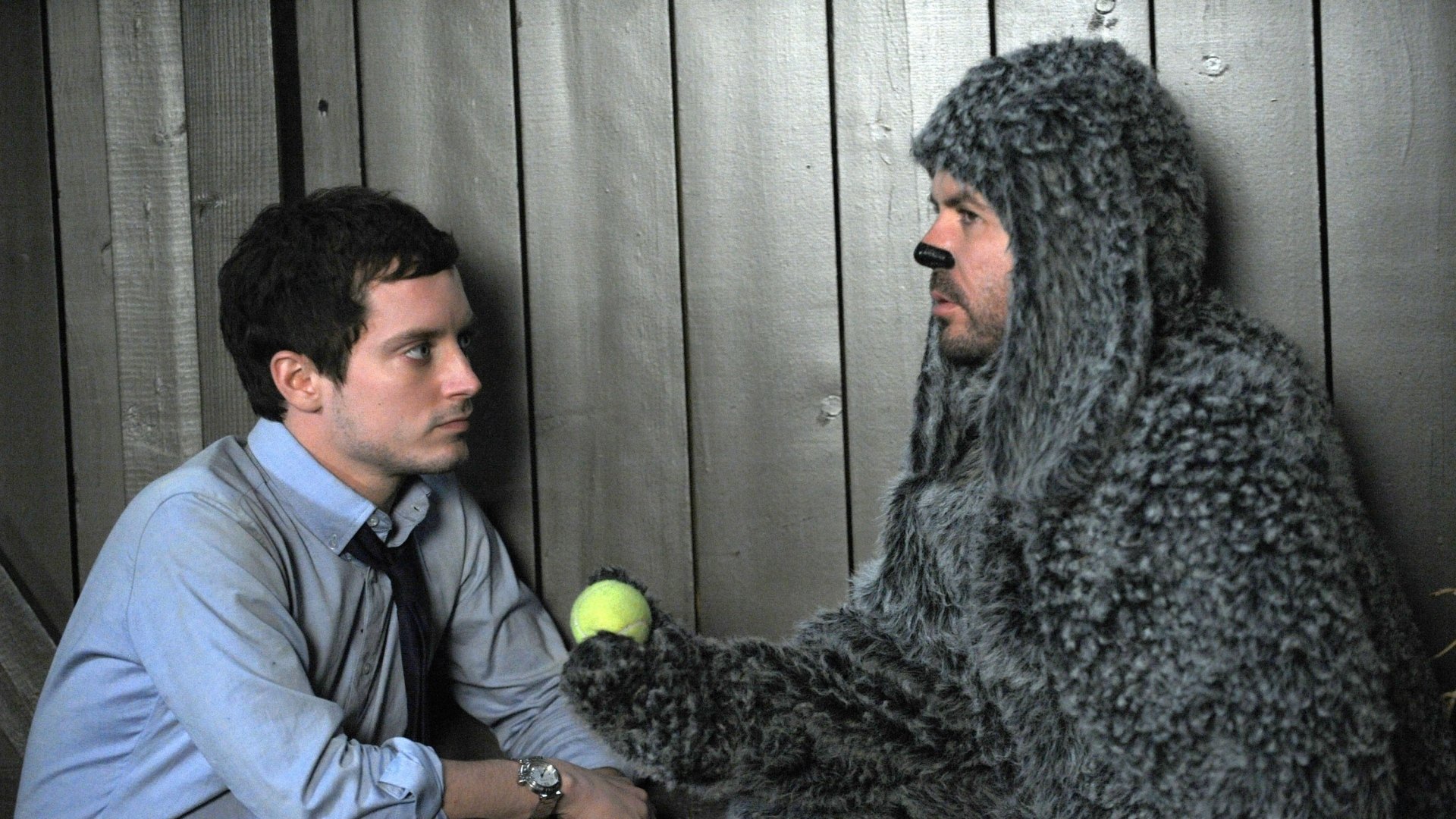 Download Jason Gann Sitcom Elijah Wood Wilfred (TV Show) TV Show Wilfred HD Wallpaper