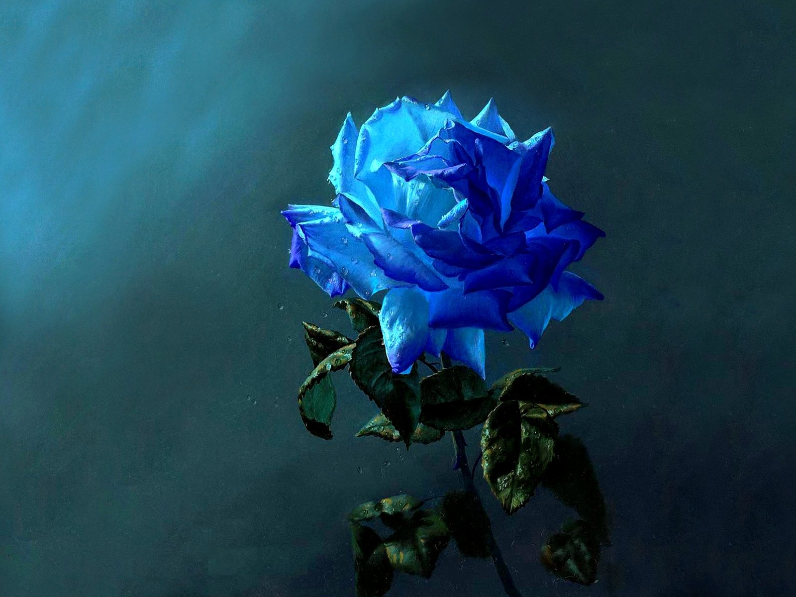 Artistic Blue Rose