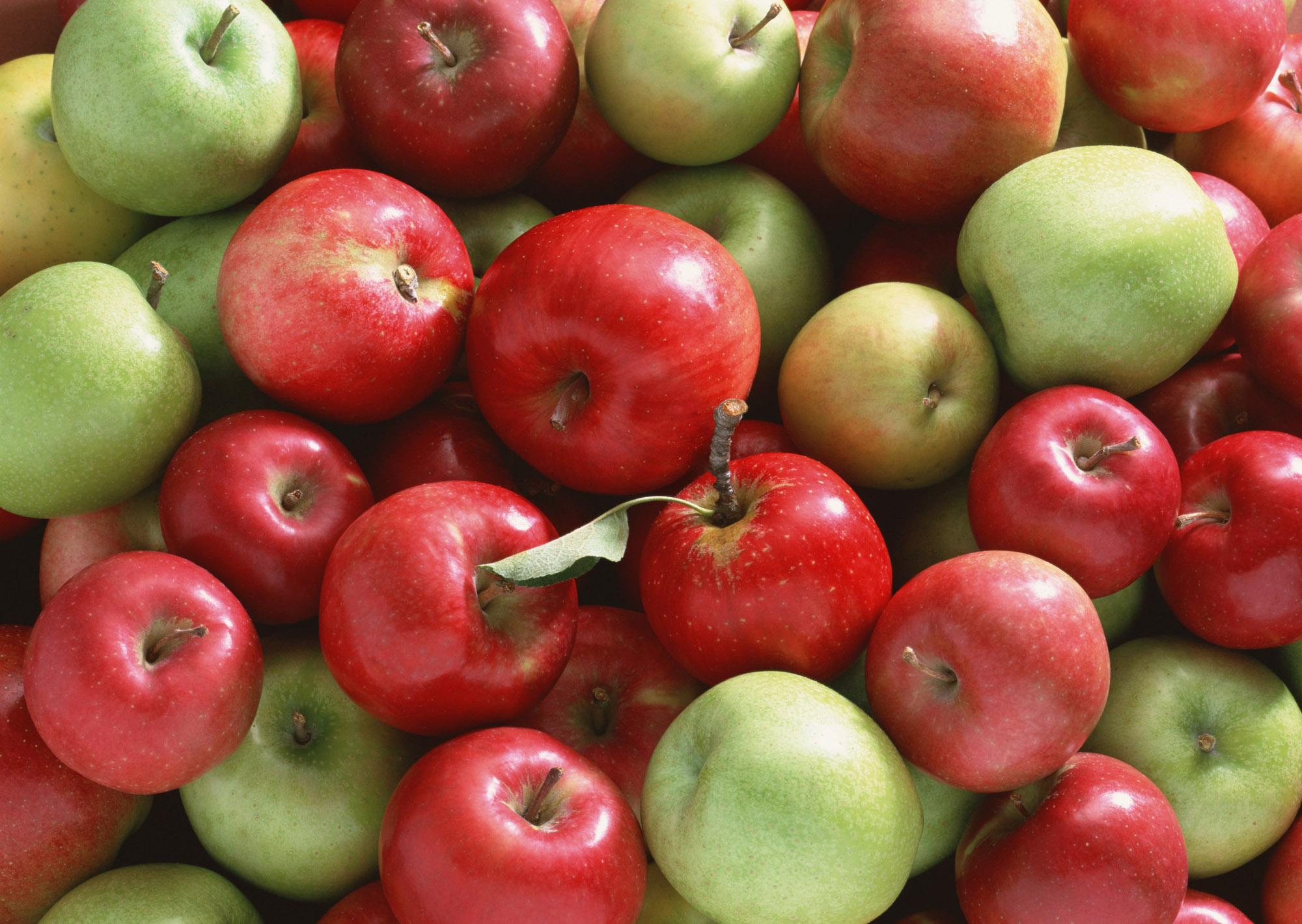 Food Apple HD Wallpaper