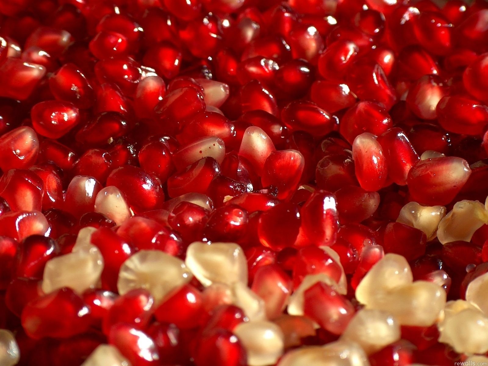 Close-up of glossy red pomegranate seeds filling the frame, vibrant HD PC desktop wallpaper and background.