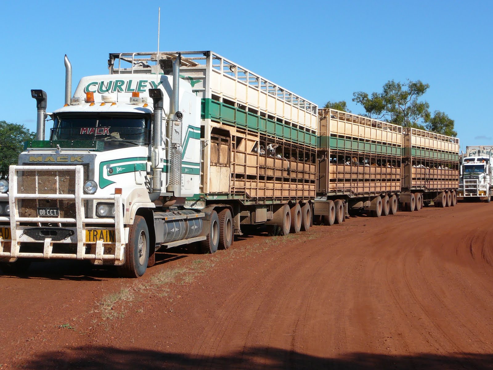 Cattle-hauler Road Train In Western Australia.