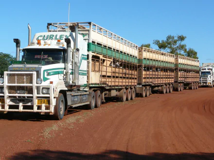  Cattle-hauler Road Train In Western Australia.
