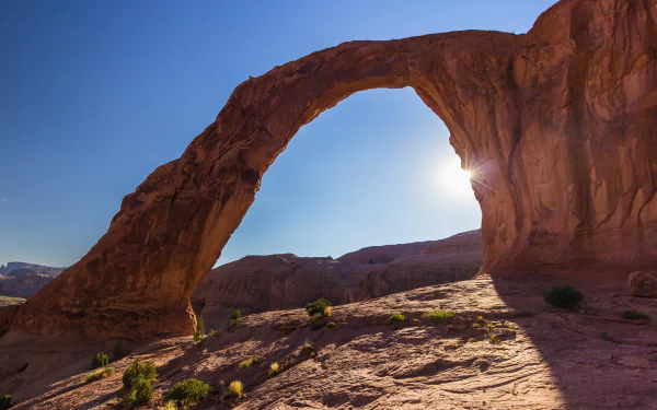  Corona Arch