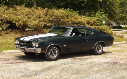 vehicle Chevrolet Chevelle SS HD Desktop Wallpaper | Background Image