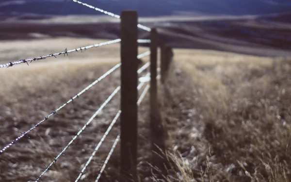 man made fence HD Desktop Wallpaper | Background Image