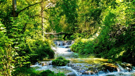 nature stream HD Desktop Wallpaper | Background Image