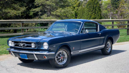 1965 Ford Mustang GT Fastback in dark blue, showcased as a classic Ford Mustang car against a natural outdoor backdrop, captured in HD for a desktop wallpaper.