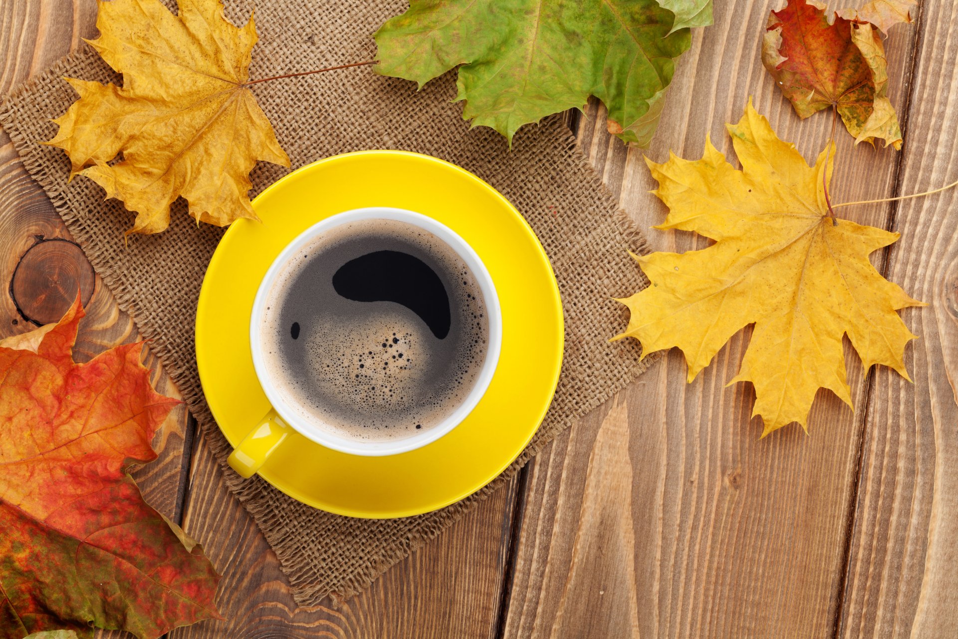 Cozy Coffee and Maple Leaves - 4K Ultra HD Wallpaper