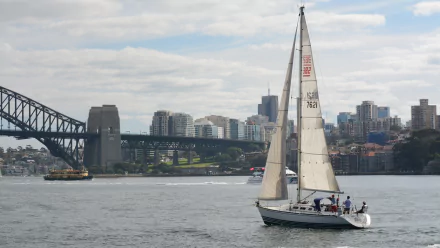  Viking on Sydney Harbour