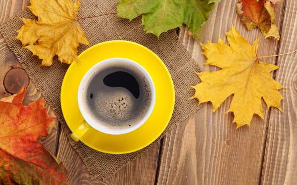 cup maple leaf leaf food coffee HD Desktop Wallpaper | Background Image