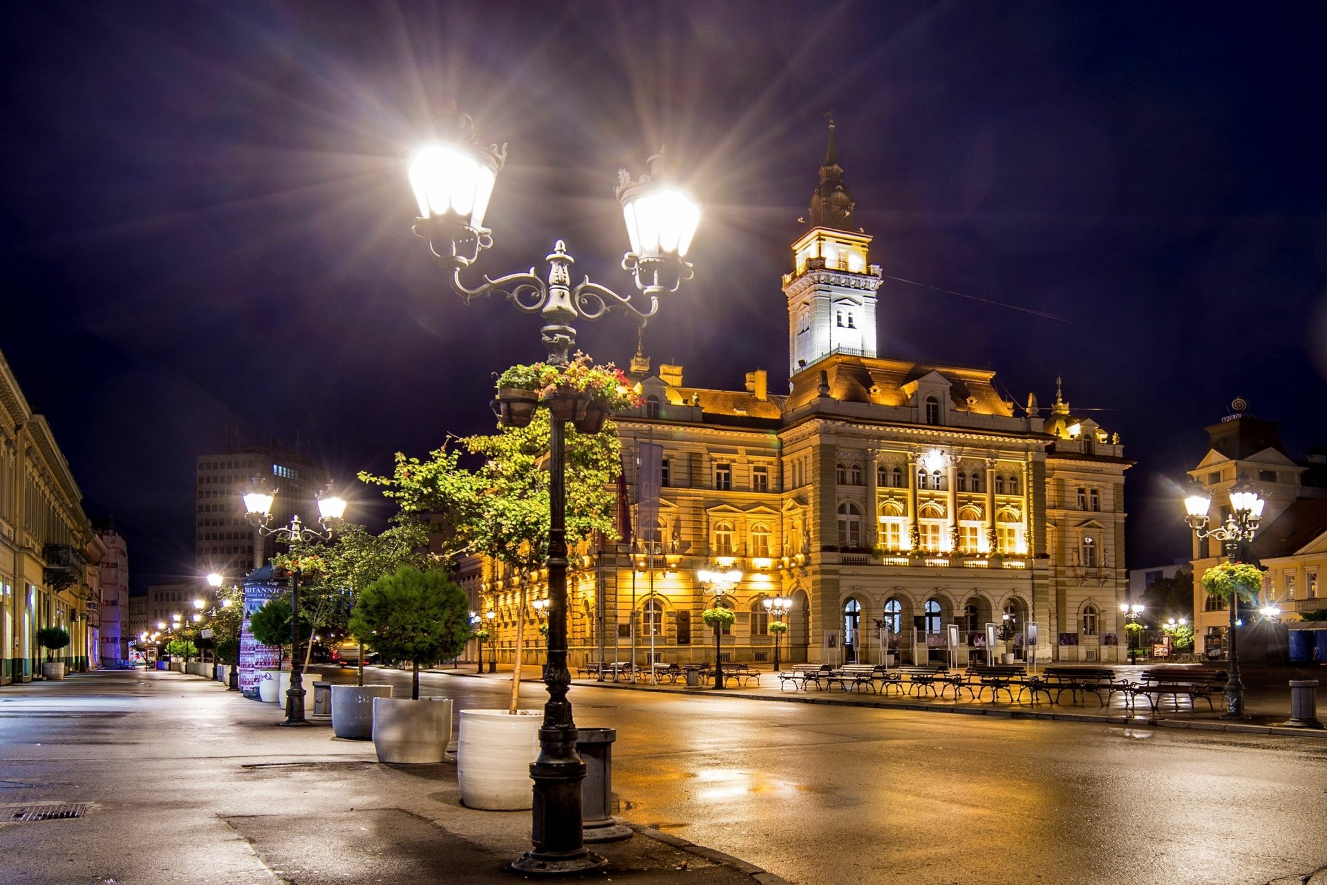 Photography, light — 2K Quad HD PC desktop wallpaper/background: illuminated historic town hall at night with glowing street lamps and wet reflective pavement highlighting architectural details.