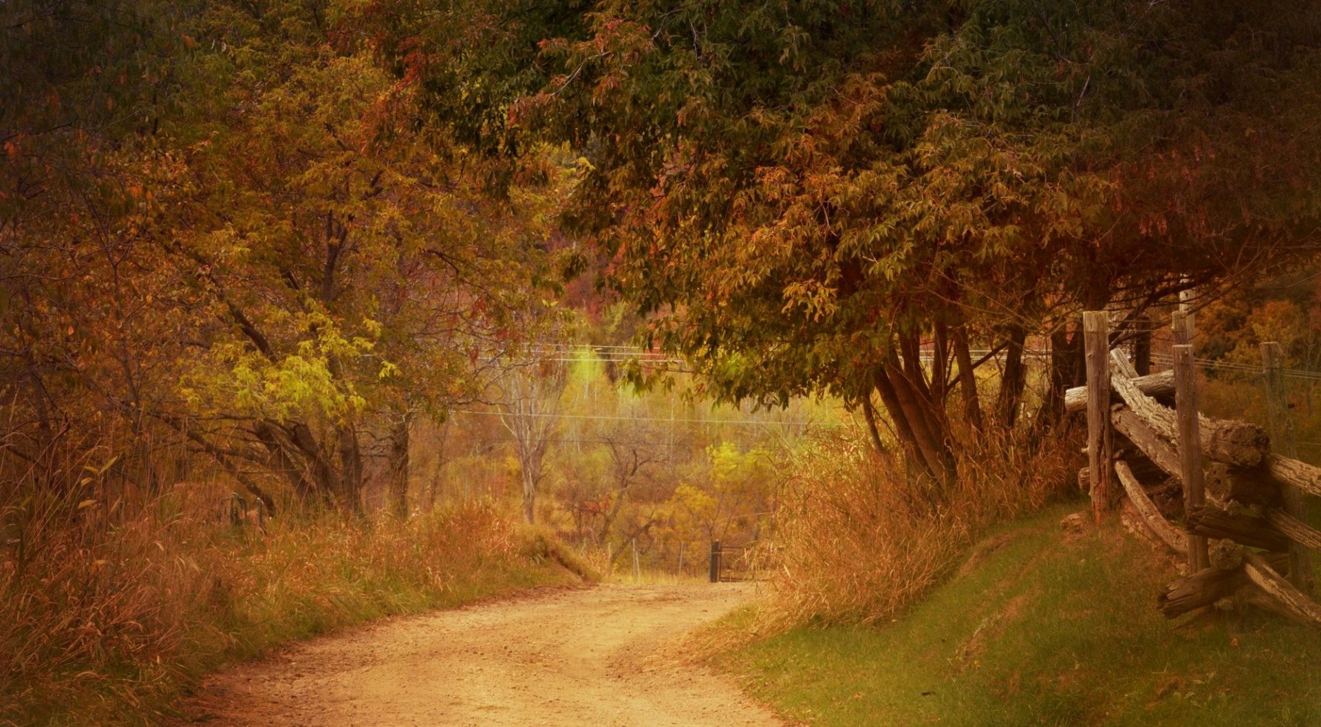 Download Man Made Road HD Wallpaper