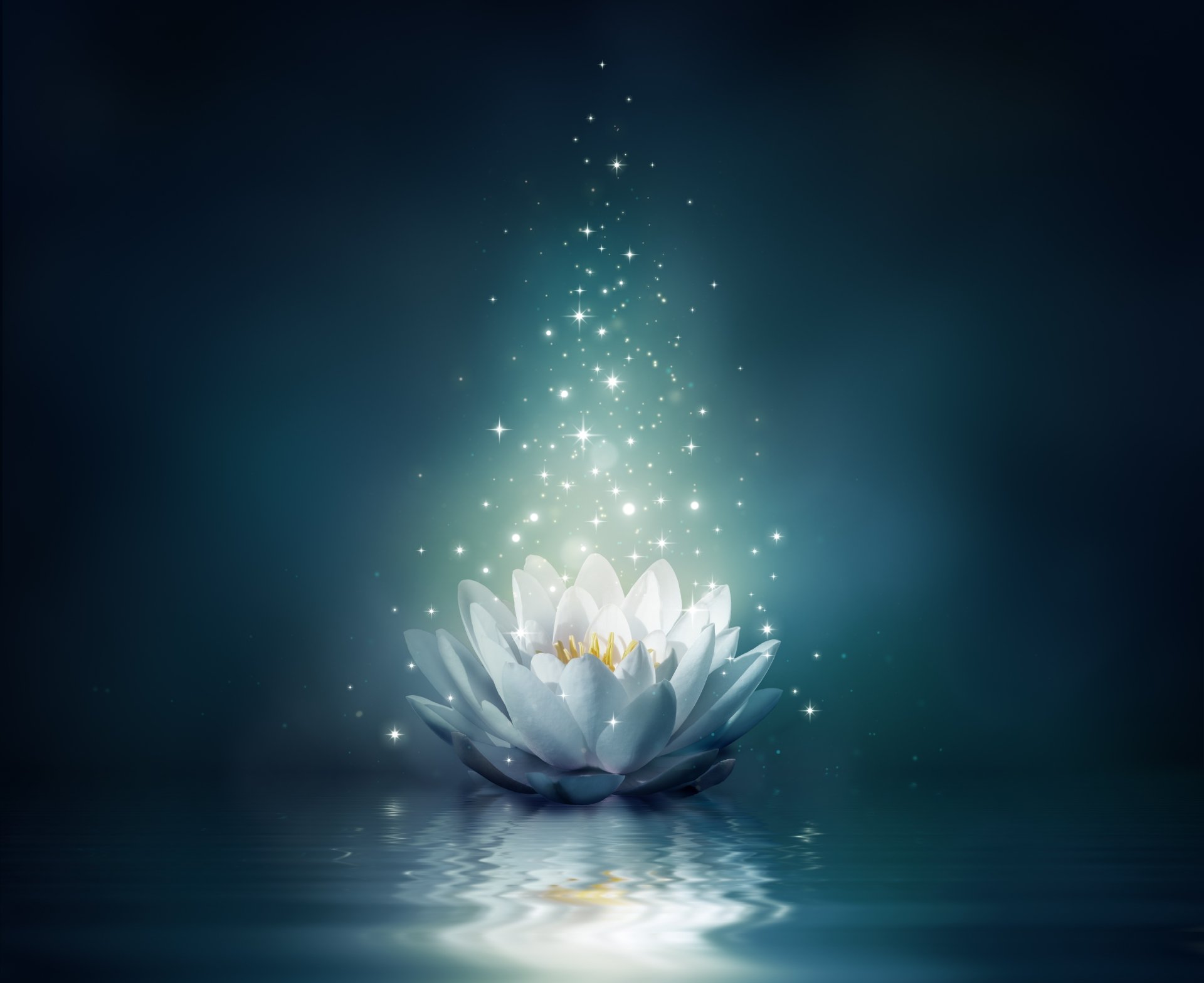 A serene water lily blooms in softly illuminated water, surrounded by sparkling light, creating an artistic and tranquil atmosphere in this 4K Ultra HD wallpaper.