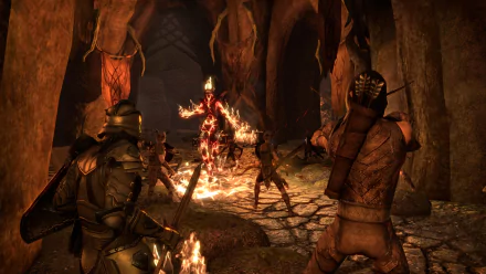 Video game HD PC desktop wallpaper: The Elder Scrolls Online — armored adventurers clash with a flaming Daedra amid a torchlit dungeon.