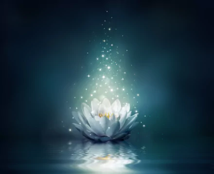 A serene water lily blooms in softly illuminated water, surrounded by sparkling light, creating an artistic and tranquil atmosphere in this 4K Ultra HD wallpaper.