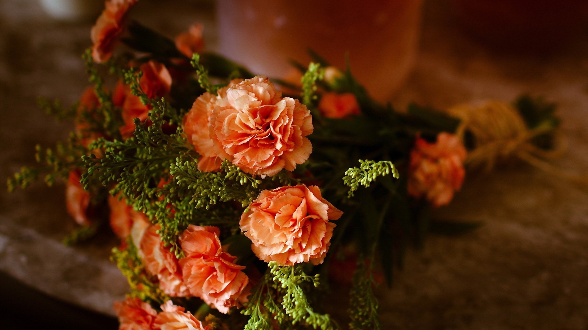 Download Carnation Man Made Flower HD Wallpaper