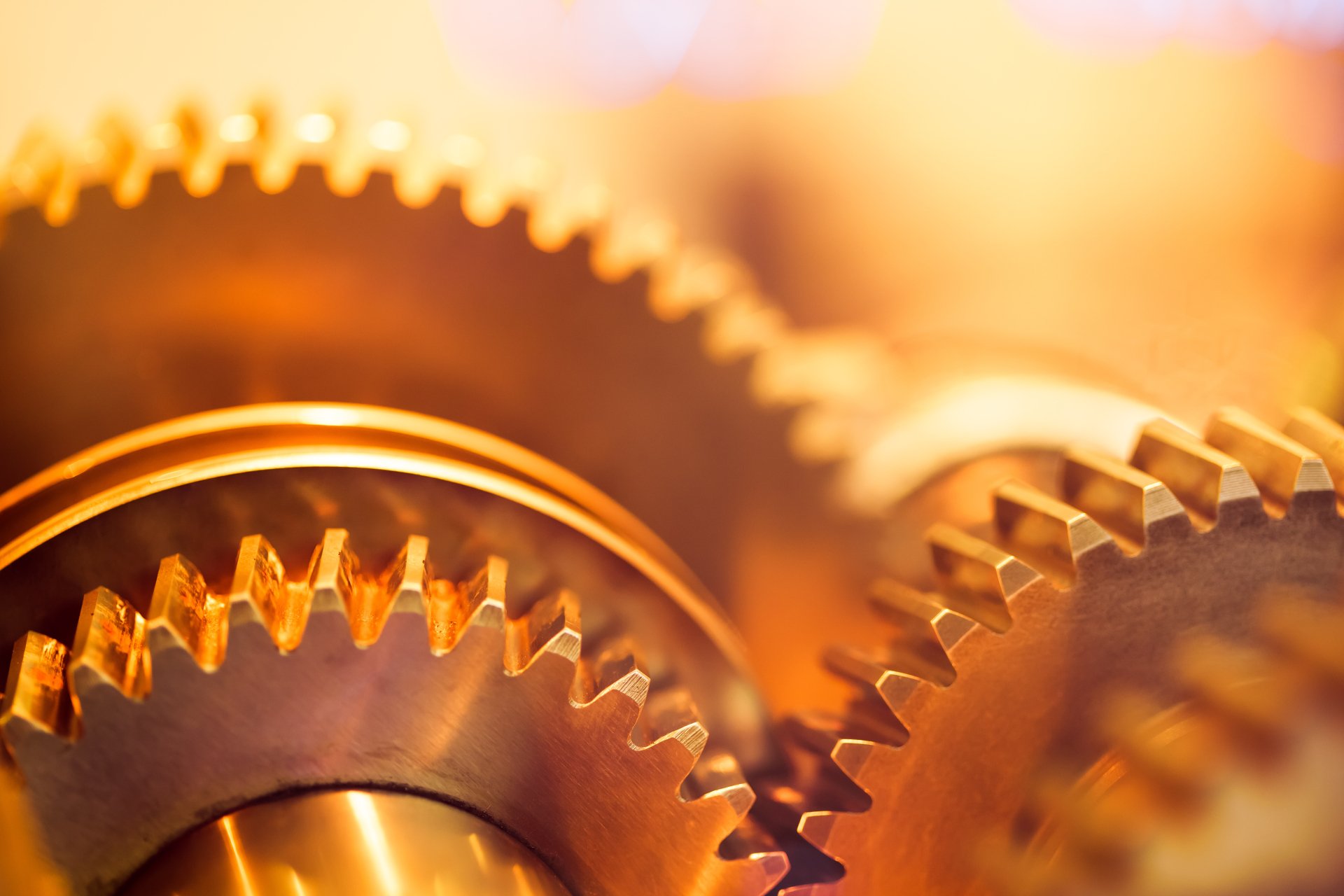 Download Photography Close-up 4k Ultra HD Wallpaper