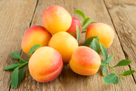 fruit food apricot HD Desktop Wallpaper | Background Image