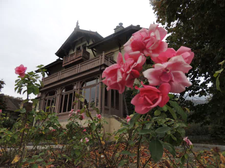 HD PC desktop wallpaper/background: pink roses and flowers in the foreground with an ornate man-made wooden house in the background.
