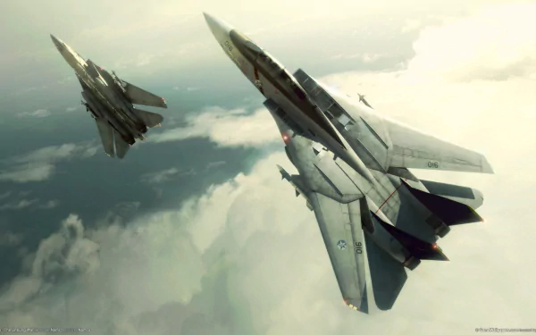  Grumman F-14 Tomcats