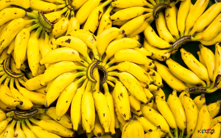 food banana HD Desktop Wallpaper | Background Image