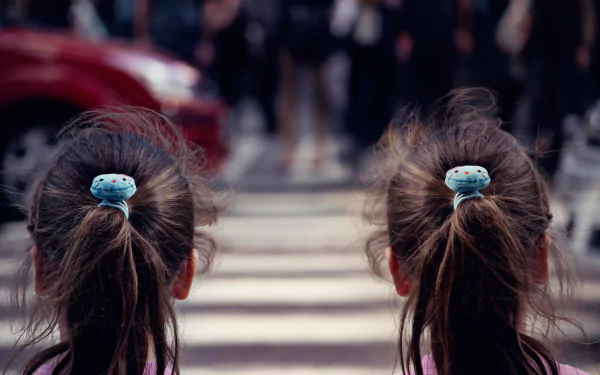  Twince