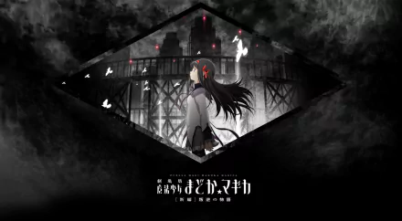 Homura Akemi Anime Puella Magi Madoka Magica HD Desktop Wallpaper | Background Image